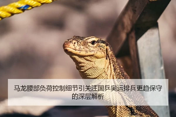 马龙腰部负荷控制细节引关注国乒奥运排兵更趋保守的深层解析
