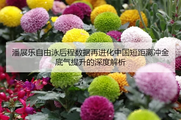 潘展乐自由泳后程数据再进化中国短距离冲金底气提升的深度解析