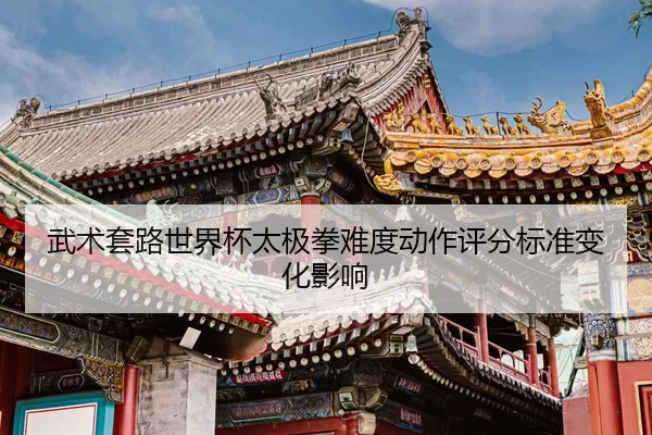 wu-shu-tao-lu-shi-jie-bei-tai-ji-quan-nan-du-dong-zuo-ping-fen-biao-zhun-bian-hua-ying-xiang-2-414.jpg
