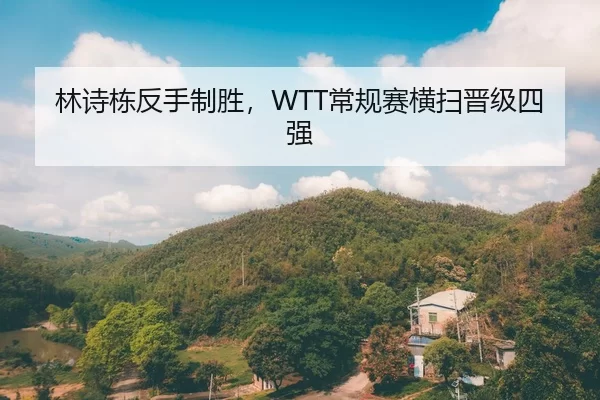 林诗栋反手制胜，WTT常规赛横扫晋级四强